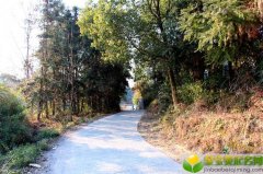 2019猪年中元节出生女宝宝起什么小名比较好