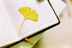 狗年姓司徒女孩名字大全 属狗司徒姓女宝宝起名2018