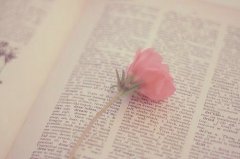 狗年姓宇文女孩名字大全 属狗宇文姓女宝宝起名2018