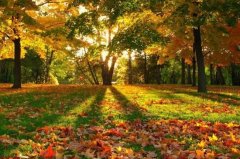 狗年姓臧女孩名字大全 属狗臧姓女宝宝起名2018