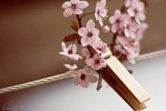 狗年姓郤女孩名字大全 属狗郤姓女宝宝起名2018