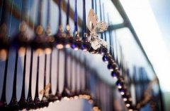 狗年姓司寇女孩名字大全 属狗司寇姓女宝宝起名2018