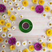 狗年姓荆女孩名字大全 属狗荆姓女宝宝起名2018