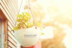 姓郝女孩寓意吉祥的名字大全