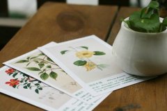 姓左女孩寓意吉祥的名字大全