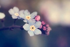 姓全女孩寓意吉祥的名字大全