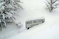 姓乔女孩寓意吉祥的名字大全