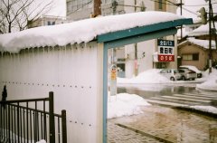 姓阳女孩寓意吉祥的名字大全