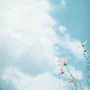 姓扶女孩寓意吉祥的名字大全