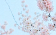 姓满女孩寓意吉祥的名字大全