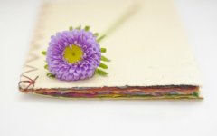 姓利女孩寓意吉祥的名字大全