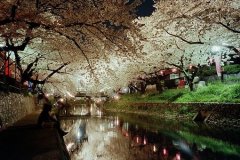 姓令狐女孩寓意吉祥的名字大全