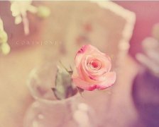 姓钟离女孩寓意吉祥的名字大全