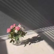 姓南宫寓意吉祥女孩名字