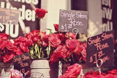 姓杨女孩名字有诗意