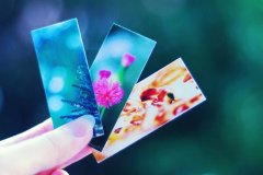 姓伍女孩名字有诗意