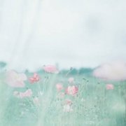 姓白女孩名字有诗意