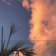 姓松女孩名字有诗意