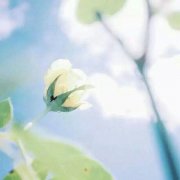 姓宿女孩名字有诗意