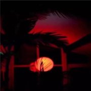 姓桂女孩名字有诗意