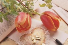 姓龙女孩名字有诗意