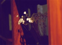 姓边女孩名字有诗意