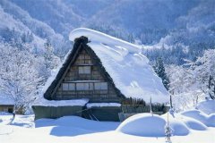 姓连女孩名字有诗意