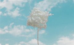 姓衡女孩名字有诗意