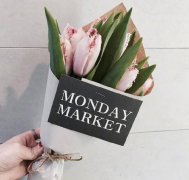 姓归女孩有诗意名字