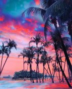 姓百里女孩有诗意名字