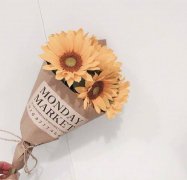 姓羊舌女孩有诗意名字