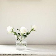 姓马霸气的女孩名字