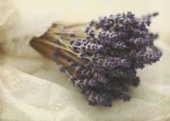 姓廉霸气的女孩名字