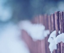 姓卜霸气的女孩名字