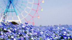 姓咸霸气的女孩名字