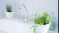 姓桑霸气的女孩名字