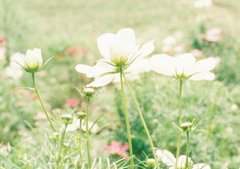 姓益霸气的女孩名字