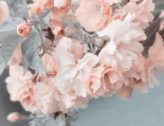 姓晁霸气的女孩名字