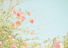 姓臧霸气的女孩名字