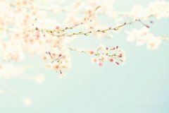 姓邵霸气的女孩名字