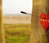 姓孙时尚的女孩名字