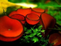 姓马女孩时尚的名字