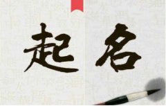 起名网大师