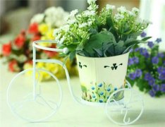 姓云女孩时尚的名字