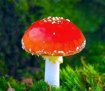 姓方女孩时尚的名字