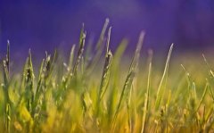 姓祝女孩时尚的名字