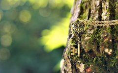 姓席女孩时尚的名字