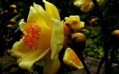 姓危女孩时尚的名字