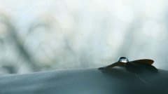 姓郁女孩时尚的名字