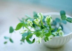 姓段女孩时尚的名字